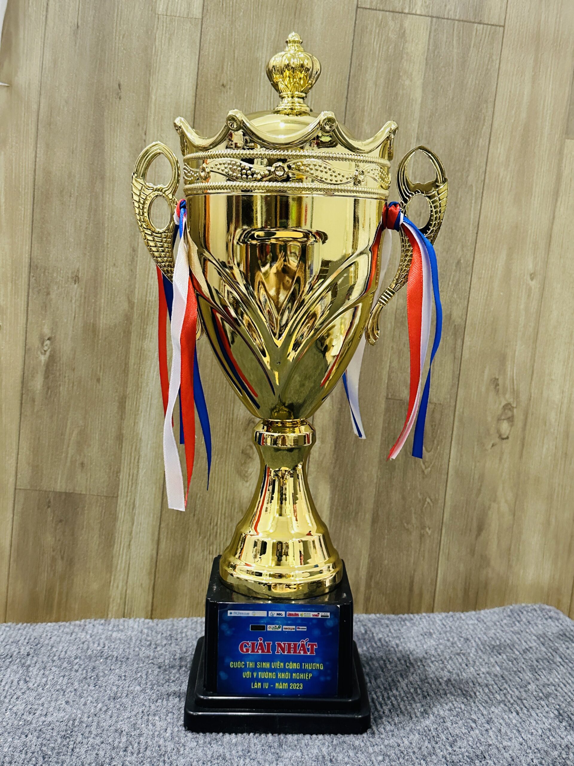 CÚP THỂ THAO 17 5 z6871793710024 04f931056bab545bb2ed3a8fc44454b3 scaled