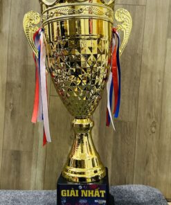 CÚP THỂ THAO 17 9 z6871793718618 66da3b3cbdd2d6e739b29fce8c2edb92