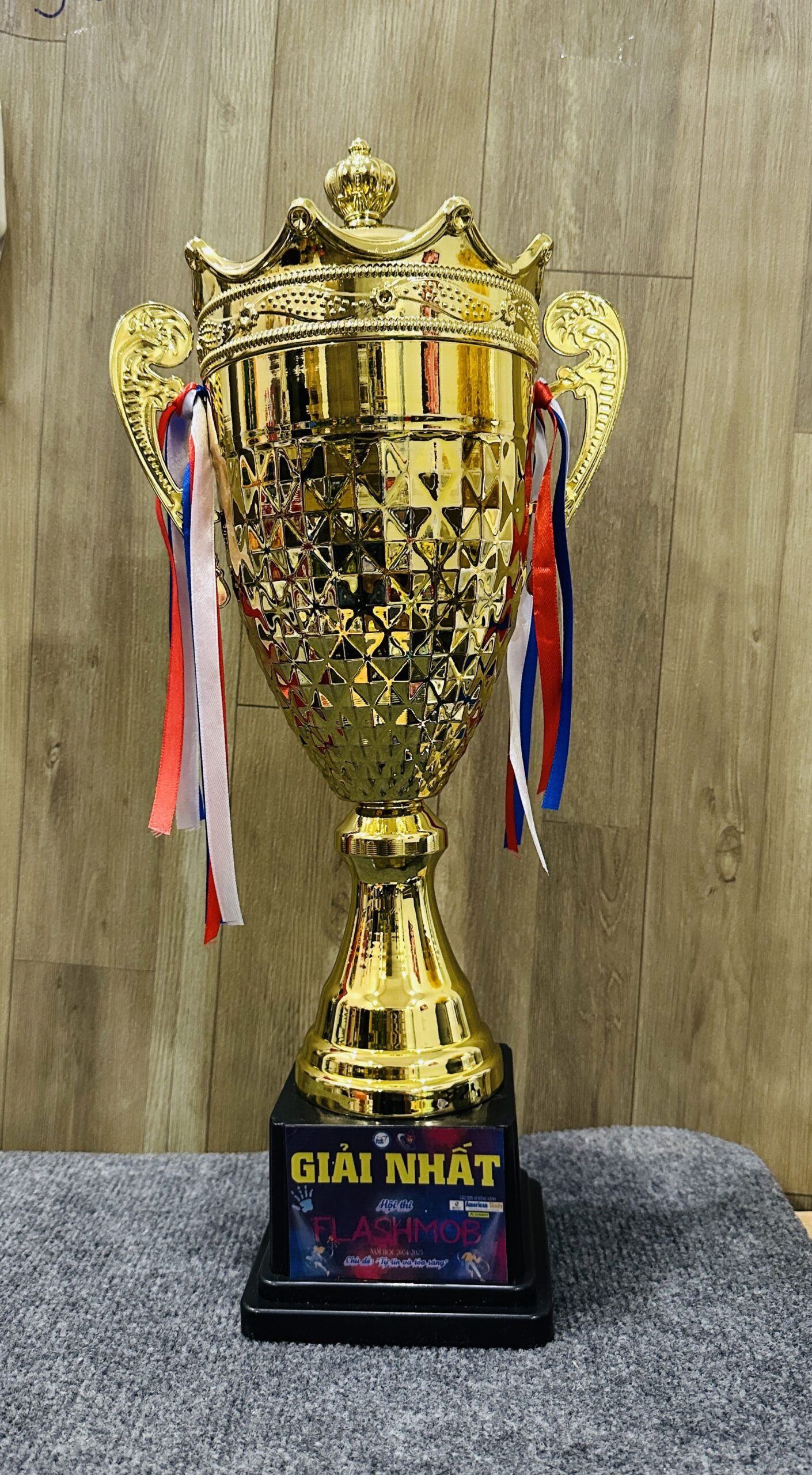 CÚP THỂ THAO 17 4 z6871793718618 66da3b3cbdd2d6e739b29fce8c2edb92 scaled