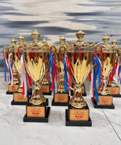 CÚP THỂ THAO 17 7 z6871793720578 e6b15ac634cdf56a370e93fae79a5f6a