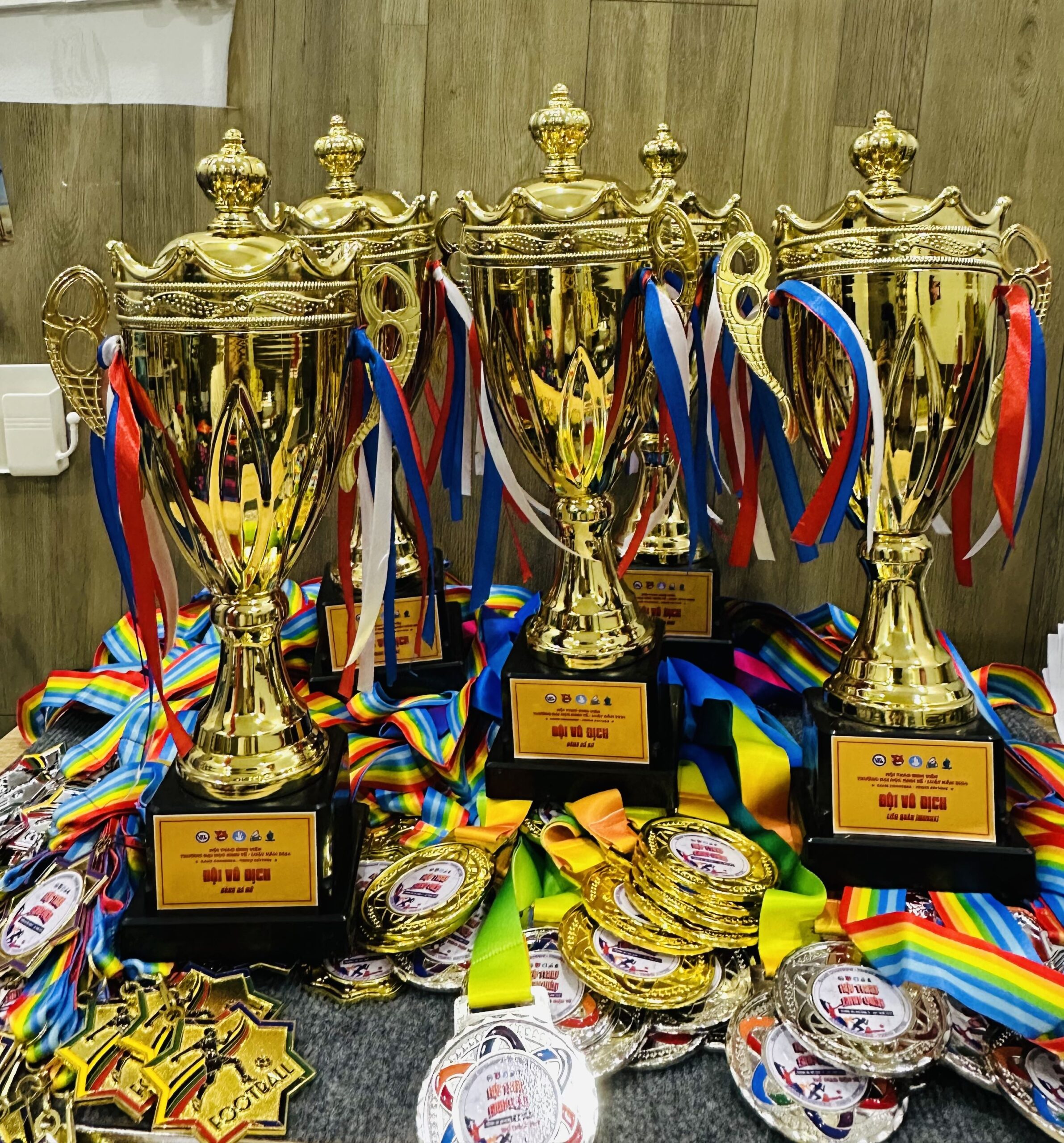 CÚP THỂ THAO 17 1 z6871793727214 ce5e1f2db66301cfd8914b1e2de817af scaled