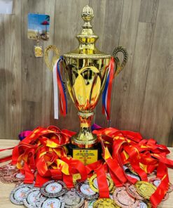 CÚP THỂ THAO 16 10 z6871793737462 3c722808e05c23df5b5b97c3210c286f