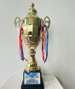 CÚP THỂ THAO 16 7 z6871793749225 ee8ff323b5bb6e65597972565980c106