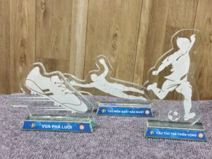 KỶ NIỆM CHƯƠNG CẮT THEO LOGO – THEO MẪU THIẾT KẾ RIÊNG 03 10 z6871824393223 1723ab3c84eec1bfde980aa2eb717903