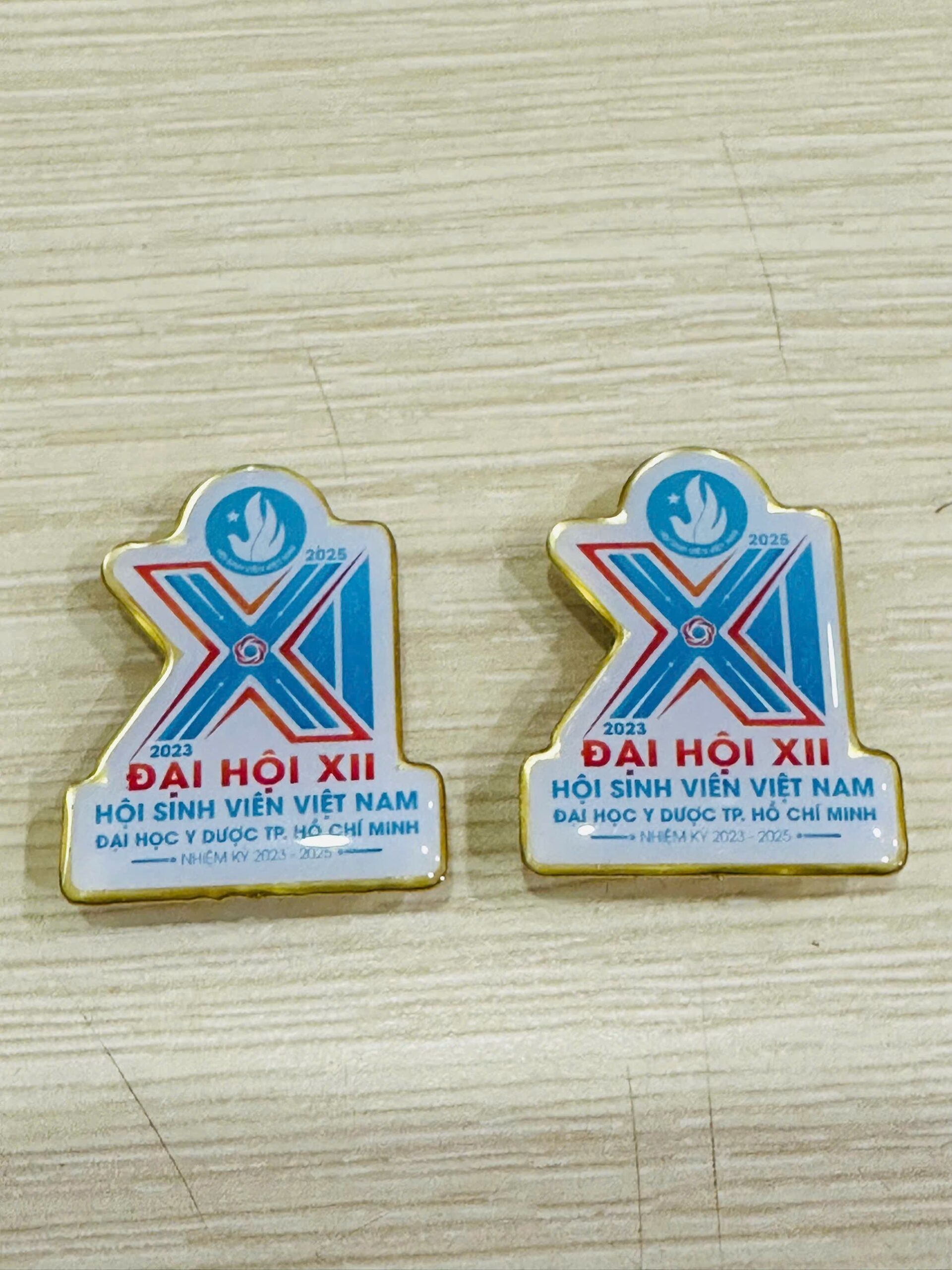 HUY HIỆU SẢN XUẤT THEO YÊU CẦU 12 2 z6943526496108 e0c07d27f3d93fa28207897a0cd3a61c scaled