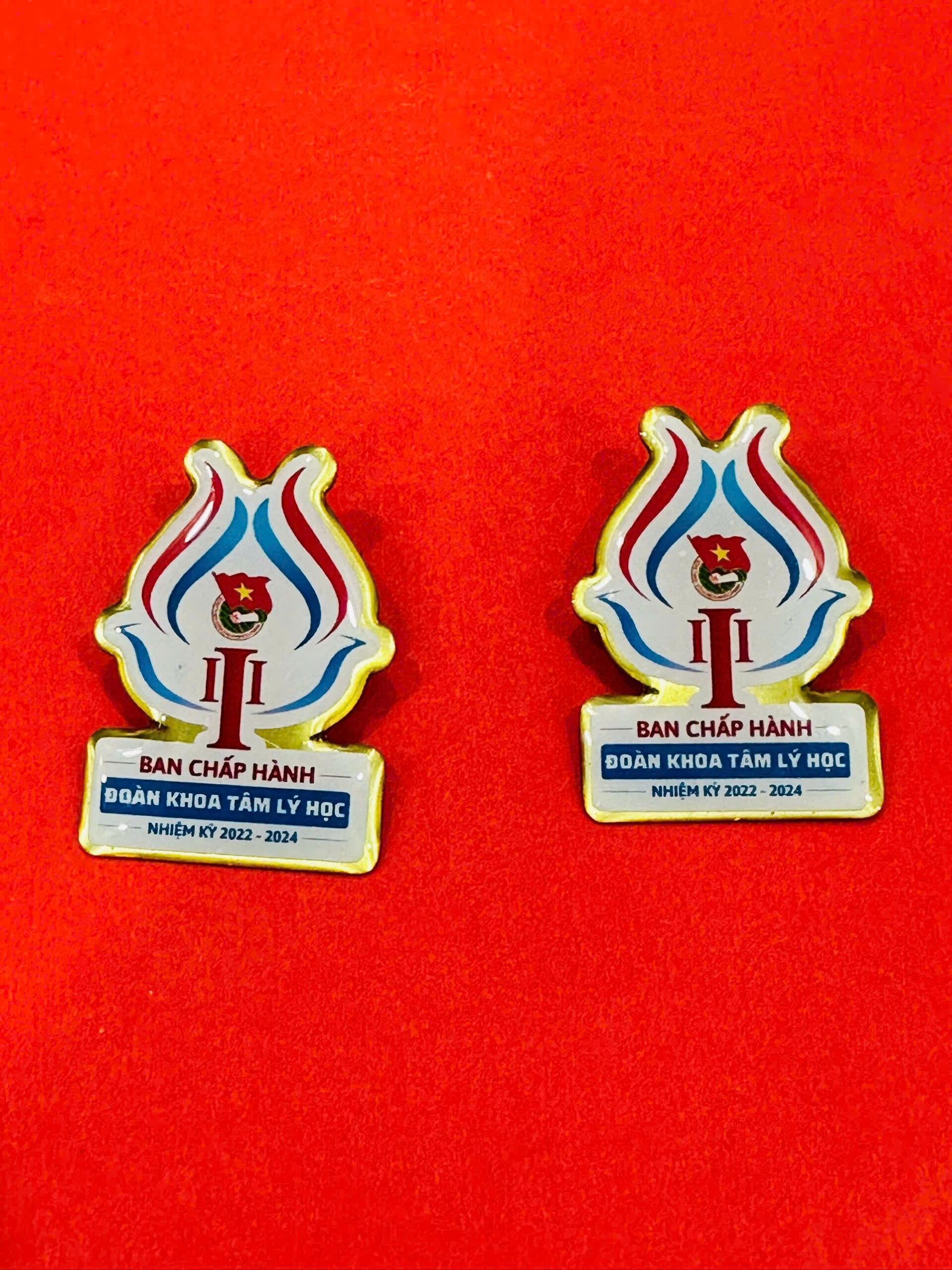 HUY HIỆU SẢN XUẤT THEO YÊU CẦU 13 1 z6943526908762 191a5b9fb2d876a9ddbe25c496b4d69f scaled