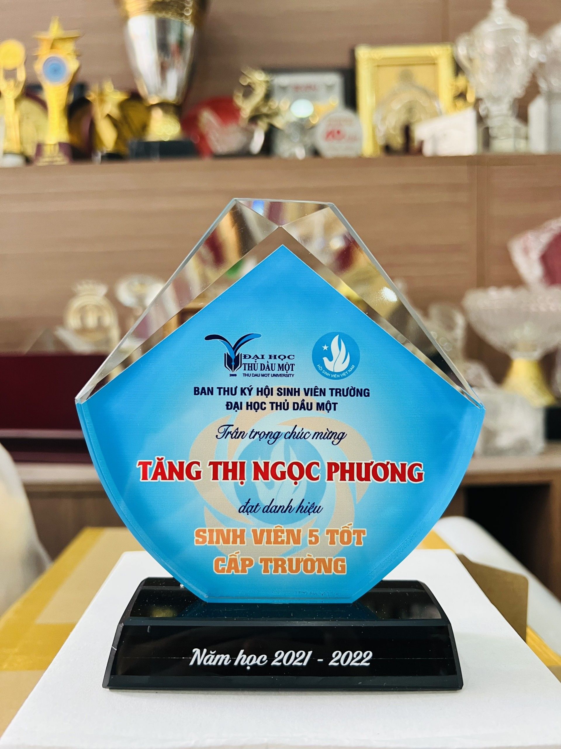KỶ NIỆM CHƯƠNG THỦY TINH 11 1 11