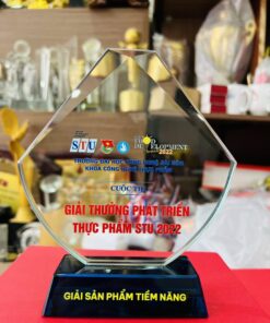 KỶ NIỆM CHƯƠNG THỦY TINH 10 5 14