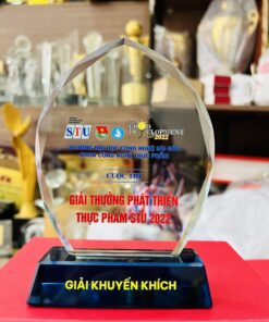 KỶ NIỆM CHƯƠNG THỦY TINH 10