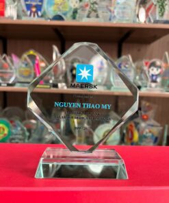 KỶ NIỆM CHƯƠNG THỦY TINH 13 6 2.1