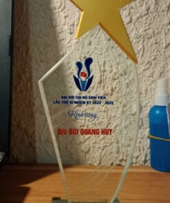 KỶ NIỆM CHƯƠNG THỦY TINH 11 7 8bc82b0cc94d0d13545c94 Copy