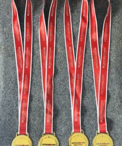 HUY CHƯƠNG ĂN MÒN 06 10 IMG 2587