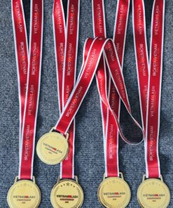 HUY CHƯƠNG ĂN MÒN 06 12 IMG 2589