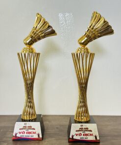 CÚP KIM LOẠI 01 7 IMG 2851