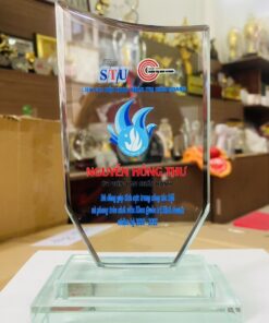 KỶ NIỆM CHƯƠNG PHA LÊ 15 6 z5217026095669 e798098d8e397262ae5bcd5eb46daedb