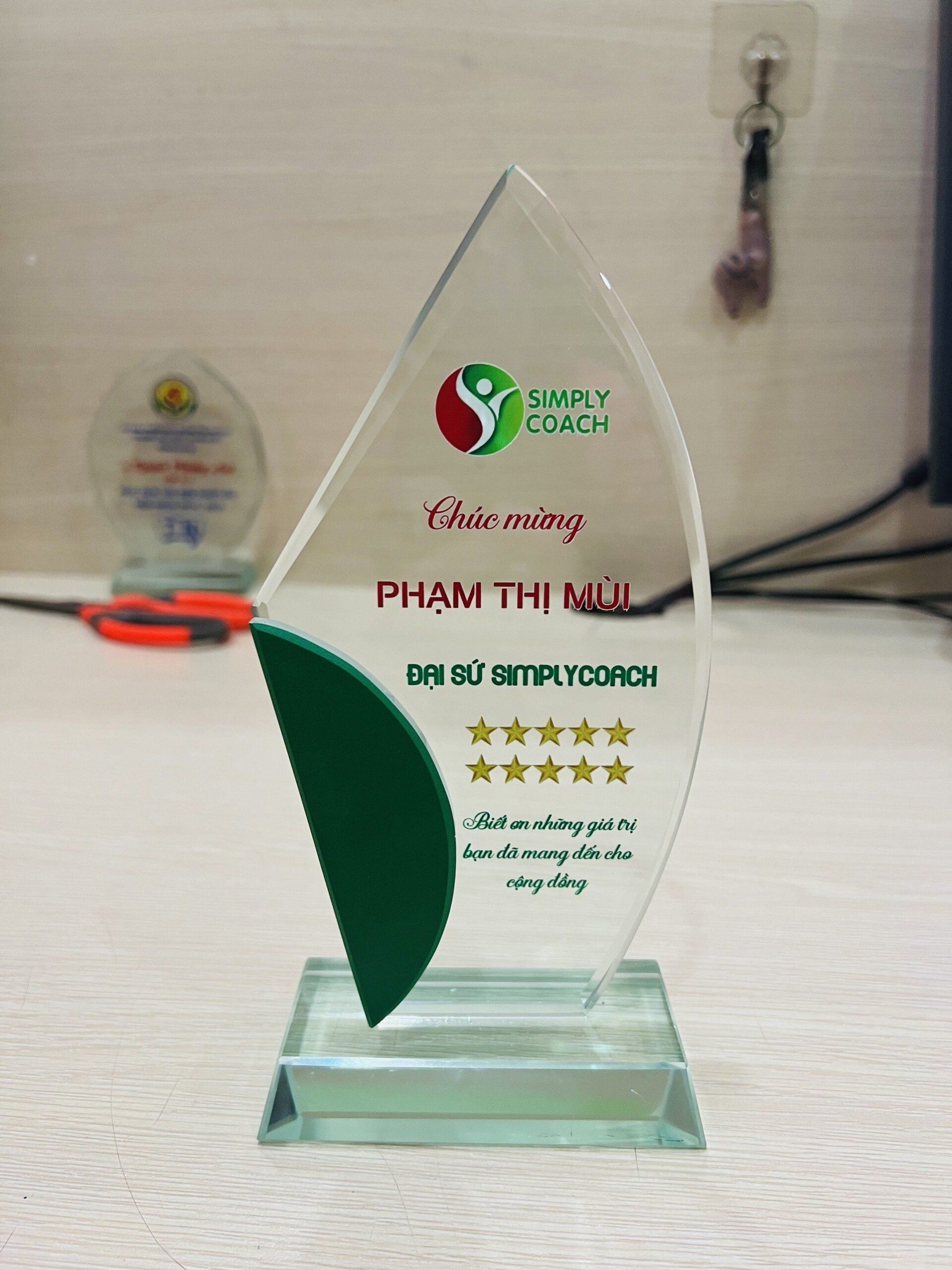 KỶ NIỆM CHƯƠNG PHA LÊ 14 4 z5217026114692 1ad641b0c0d987967da20be13d98dcb7 scaled