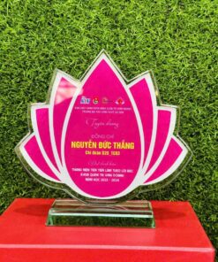 KỶ NIỆM CHƯƠNG PHA LÊ 13 6 z6152794121194 b0bc09f22e69bcd12f3e33f65497ceb5