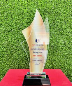 KỶ NIỆM CHƯƠNG PHA LÊ 13 5 z6152794148735 c68cb2d5189d41fdfb6b4f187e004a9b