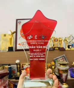 KỶ NIỆM CHƯƠNG PHA LÊ 12 6 z6152794186747 4343901c95a515878f345832daee723e