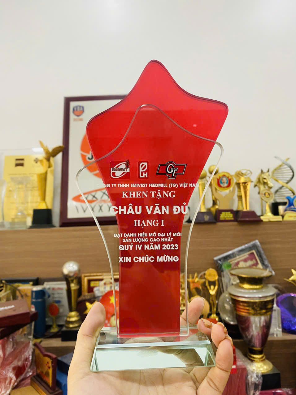 KỶ NIỆM CHƯƠNG PHA LÊ 12 3 z6152794186747 4343901c95a515878f345832daee723e