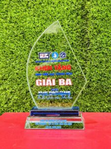 KỶ NIỆM CHƯƠNG PHA LÊ 12