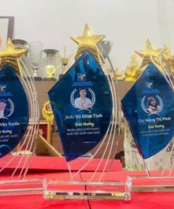 KỶ NIỆM CHƯƠNG PHA LÊ 11