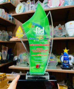 KỶ NIỆM CHƯƠNG PHA LÊ 10