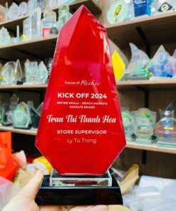 KỶ NIỆM CHƯƠNG PHA LÊ 07 6 z6173283325241 46c5150a4fb878bcc9f93be592664d0c