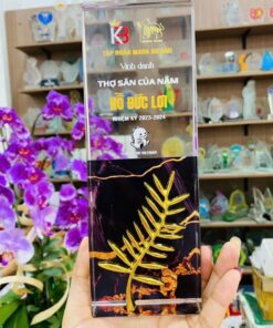 KỶ NIỆM CHƯƠNG PHA LÊ 06 6 z6174353091113 80fc4b4d8d0c9d0c85ded95bbd34b1d5