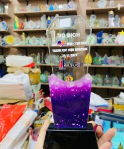 KỶ NIỆM CHƯƠNG PHA LÊ 05 6 z6174353091267 a309926c82999fc23b6414fcfdb99d1d