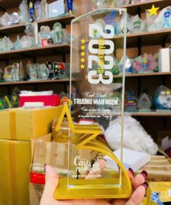 KỶ NIỆM CHƯƠNG PHA LÊ 02 6 z6407762211442 0d2c2b63029792d8a68287cc5fe1e1b4 1