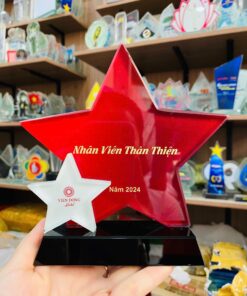 KỶ NIỆM CHƯƠNG PHA LÊ 02 5 z6453902821808 5c5d3f32d6e81b8996e84b12fc922d7c 1