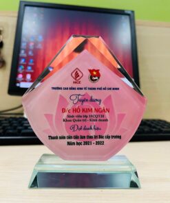 KỶ NIỆM CHƯƠNG PHA LÊ 01 5 z6531715494197 83fc93f3520a567d4047ee61ff77ed16 2