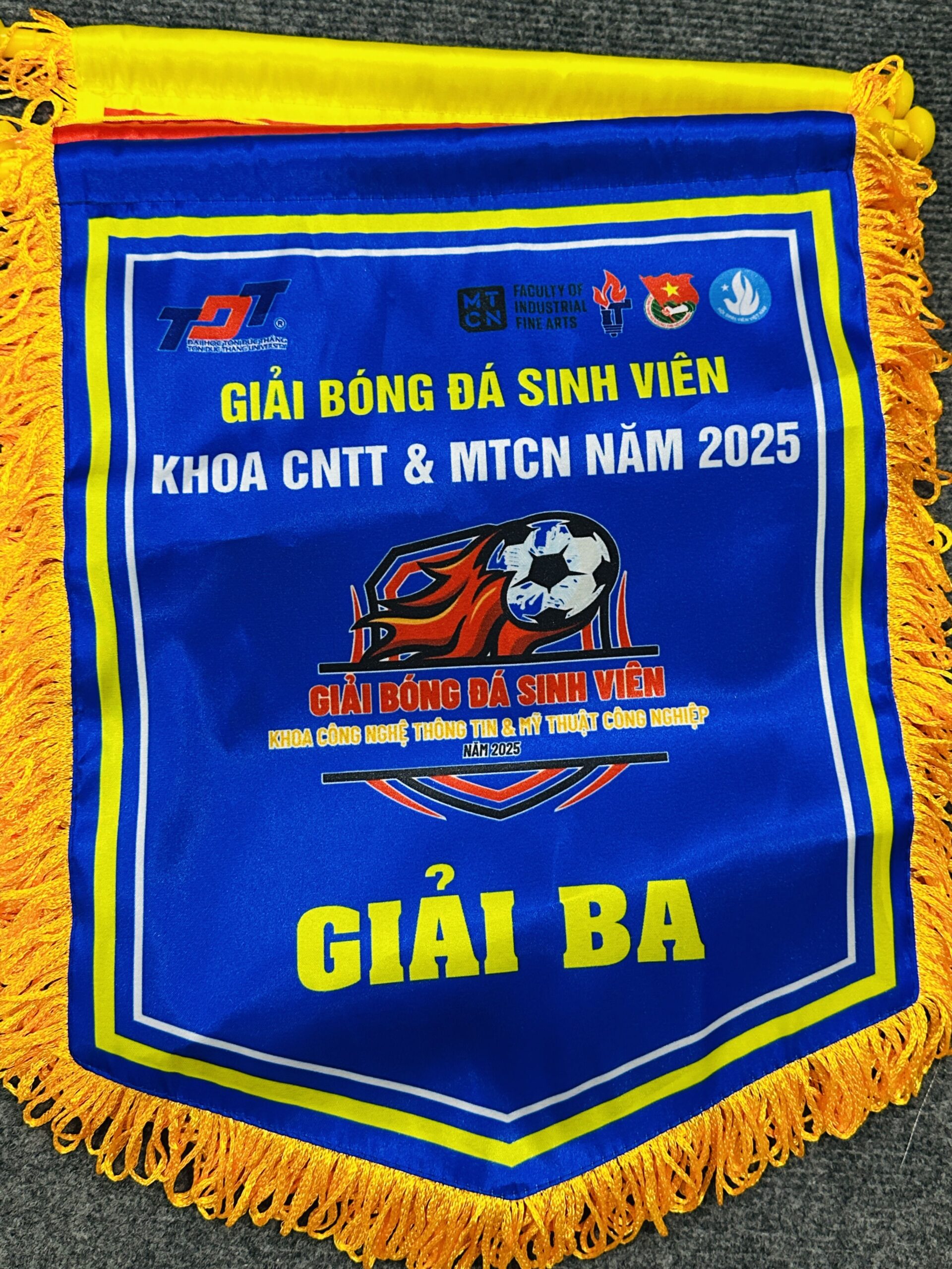 CỜ LƯU NIỆM 13 5 z6871660207712 d234b84f8cf349d307681384278d7460 scaled