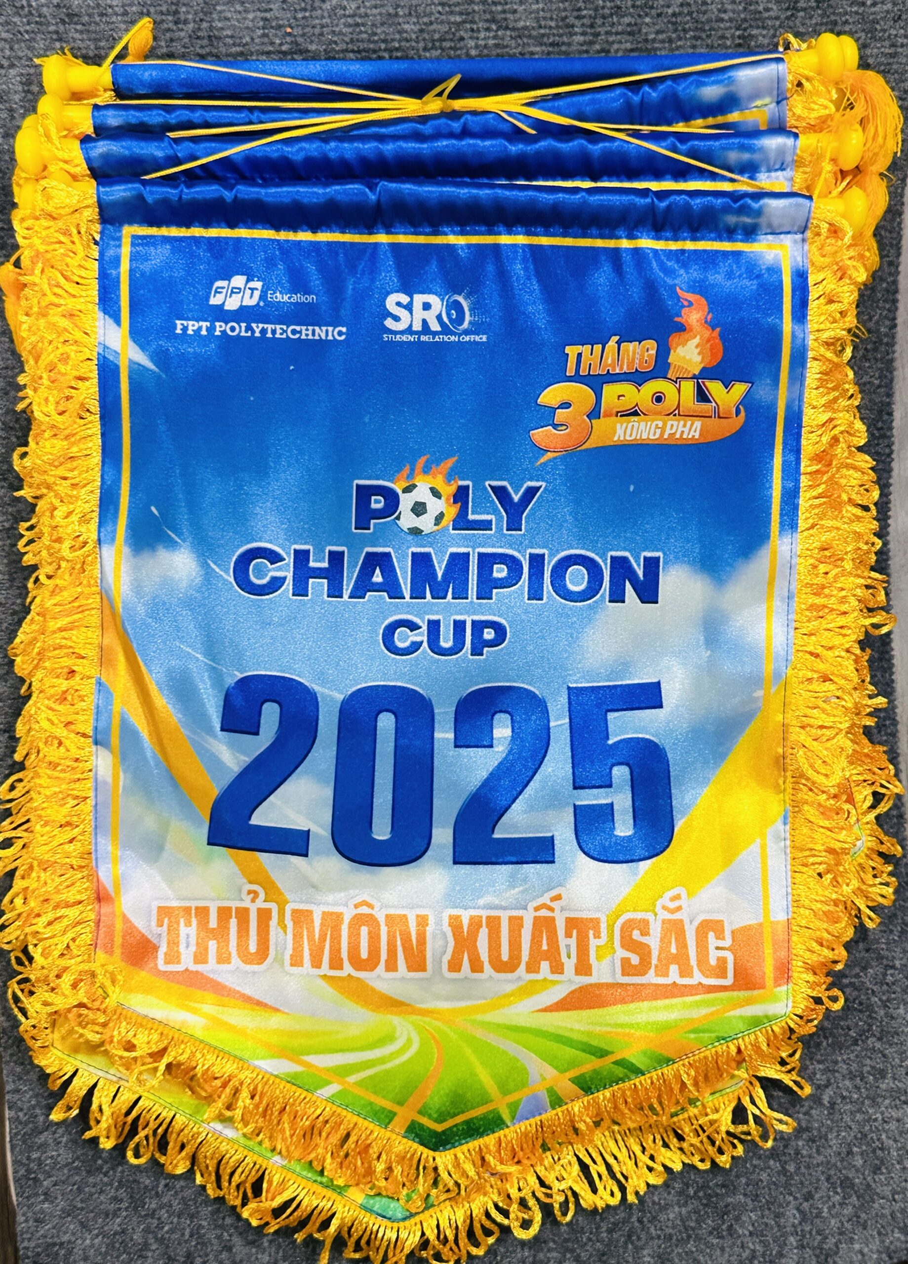 CỜ LƯU NIỆM 11 4 z6871660286835 00327018d1365cfc702644b72aa2f943 scaled