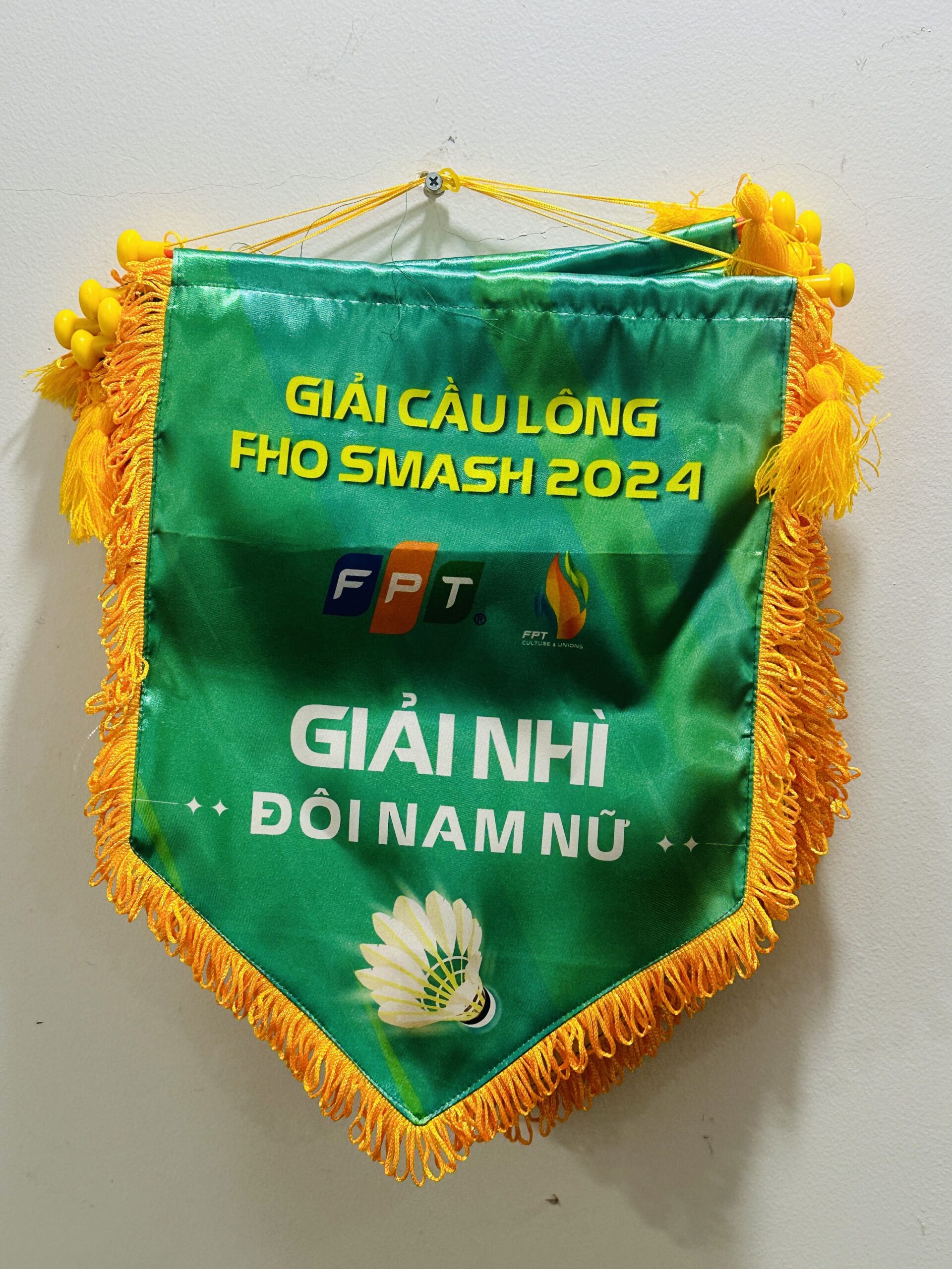 CỜ LƯU NIỆM 09 3 z6871660368411 4513854f141733d1edbede46b9d56b8e scaled