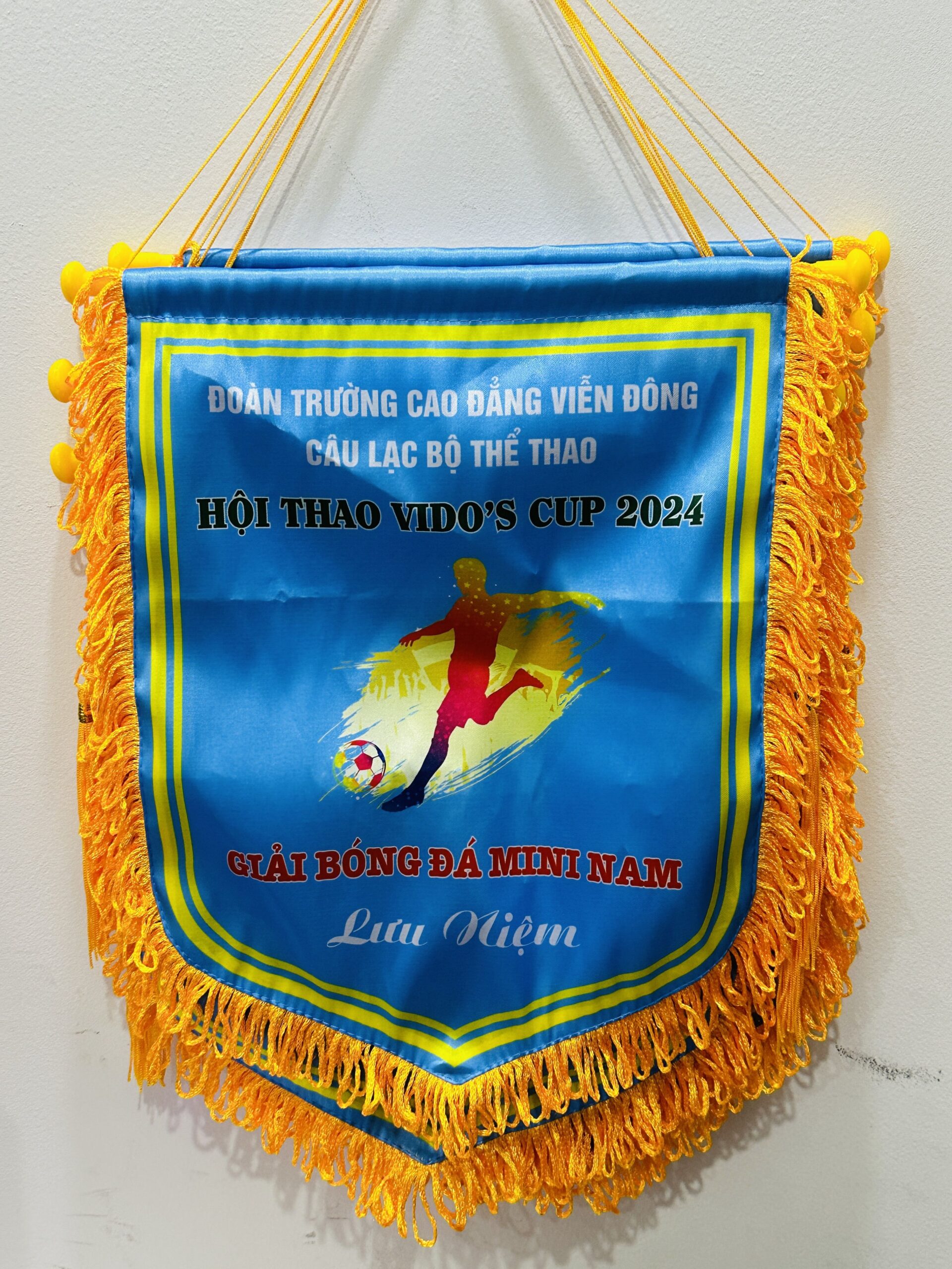 CỜ LƯU NIỆM 09 1 z6871660376223 0306a82b3d26af365d029ba7aa99bd90 scaled