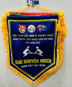 CỜ LƯU NIỆM 06 10 z6871660456360 c5f05e339e40f319eda28e9f594f492c