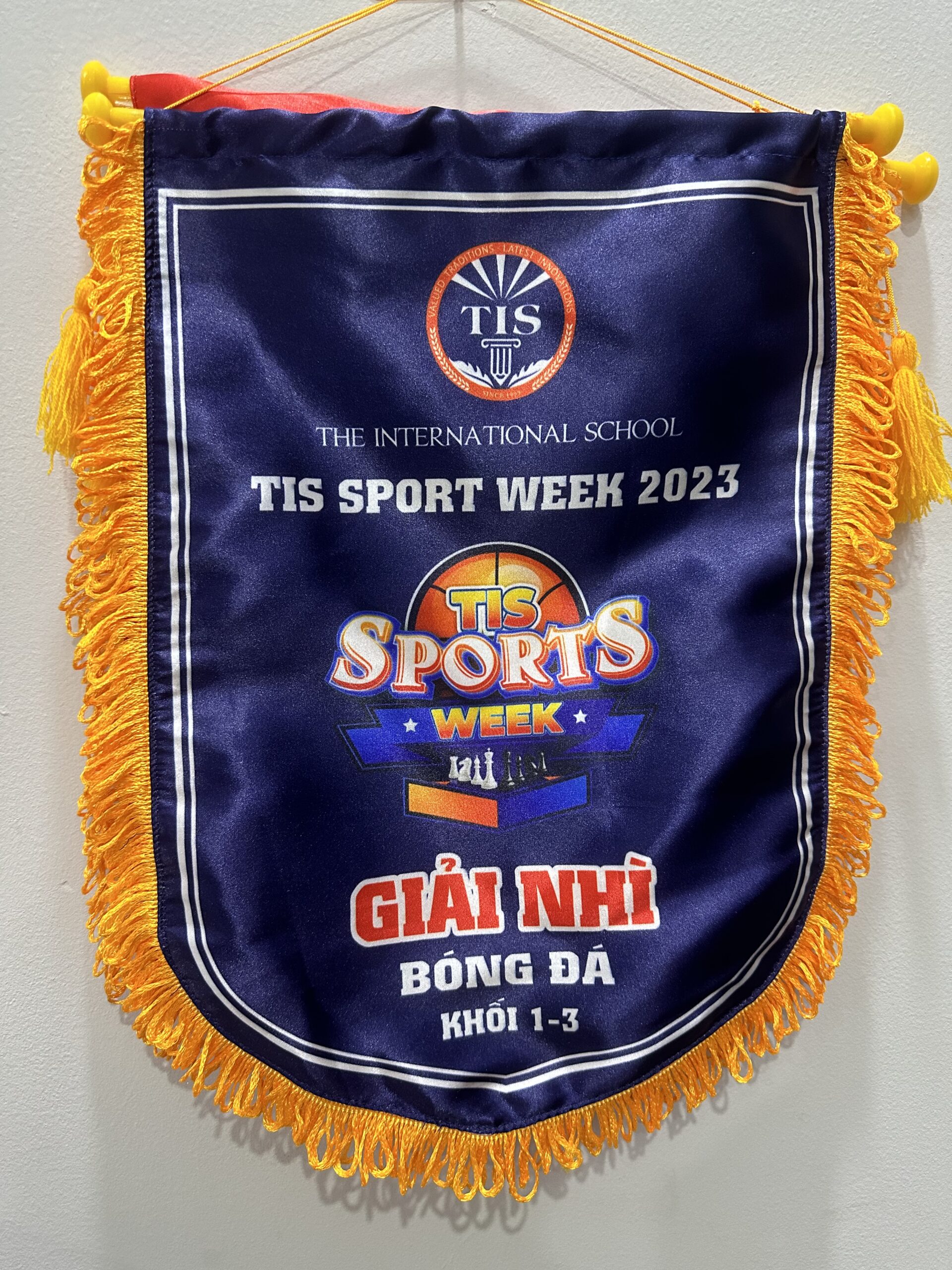 CỜ LƯU NIỆM 02 3 z6871663167906 715dbc572677424fecfca420cf89081b scaled