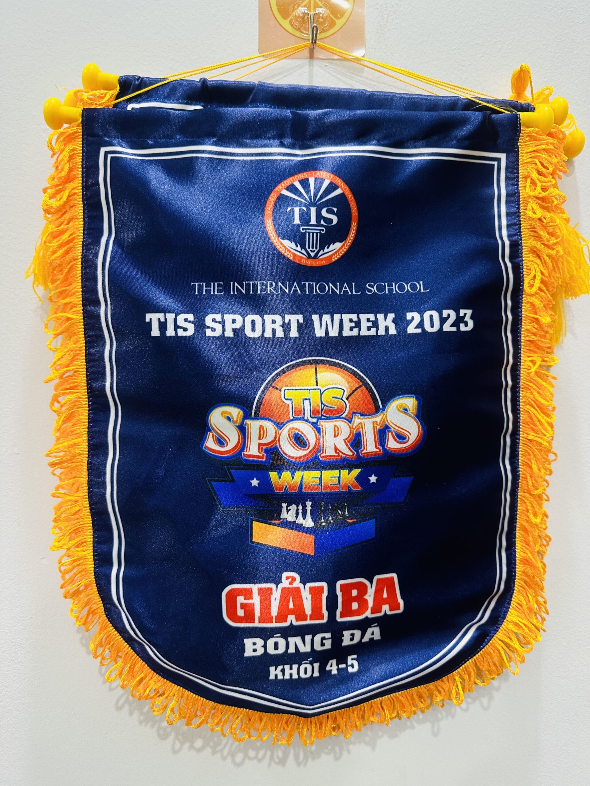 CỜ LƯU NIỆM 02 1 z6871663292451 929a433ea95d88fc26b8b2252b08978f scaled