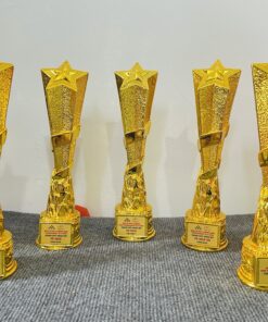 CÚP KIM LOẠI 02 9 z6871798843249 2440a9b571a83769eb04c8190b35c907