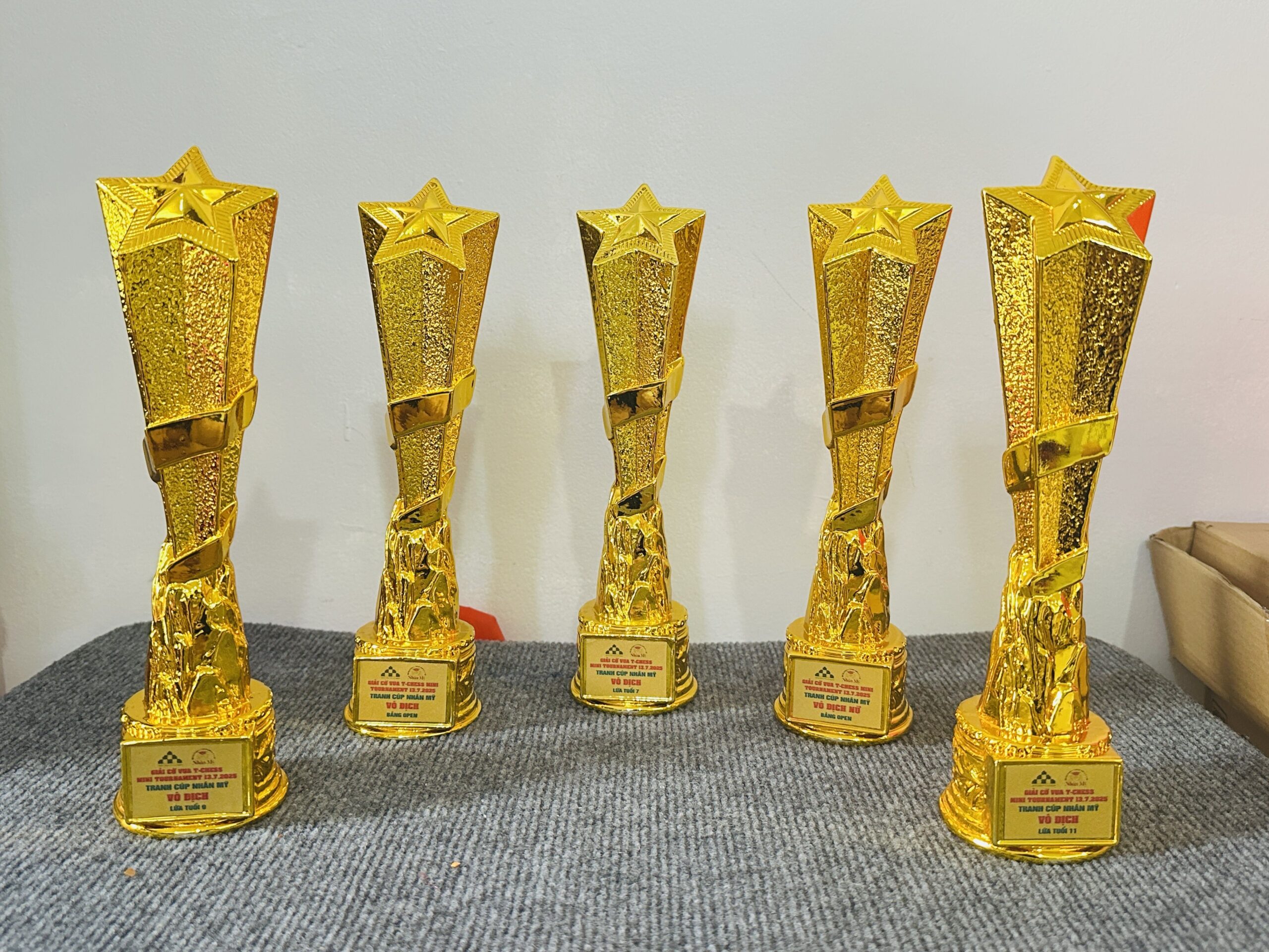 CÚP KIM LOẠI 02 5 z6871798843249 2440a9b571a83769eb04c8190b35c907 scaled