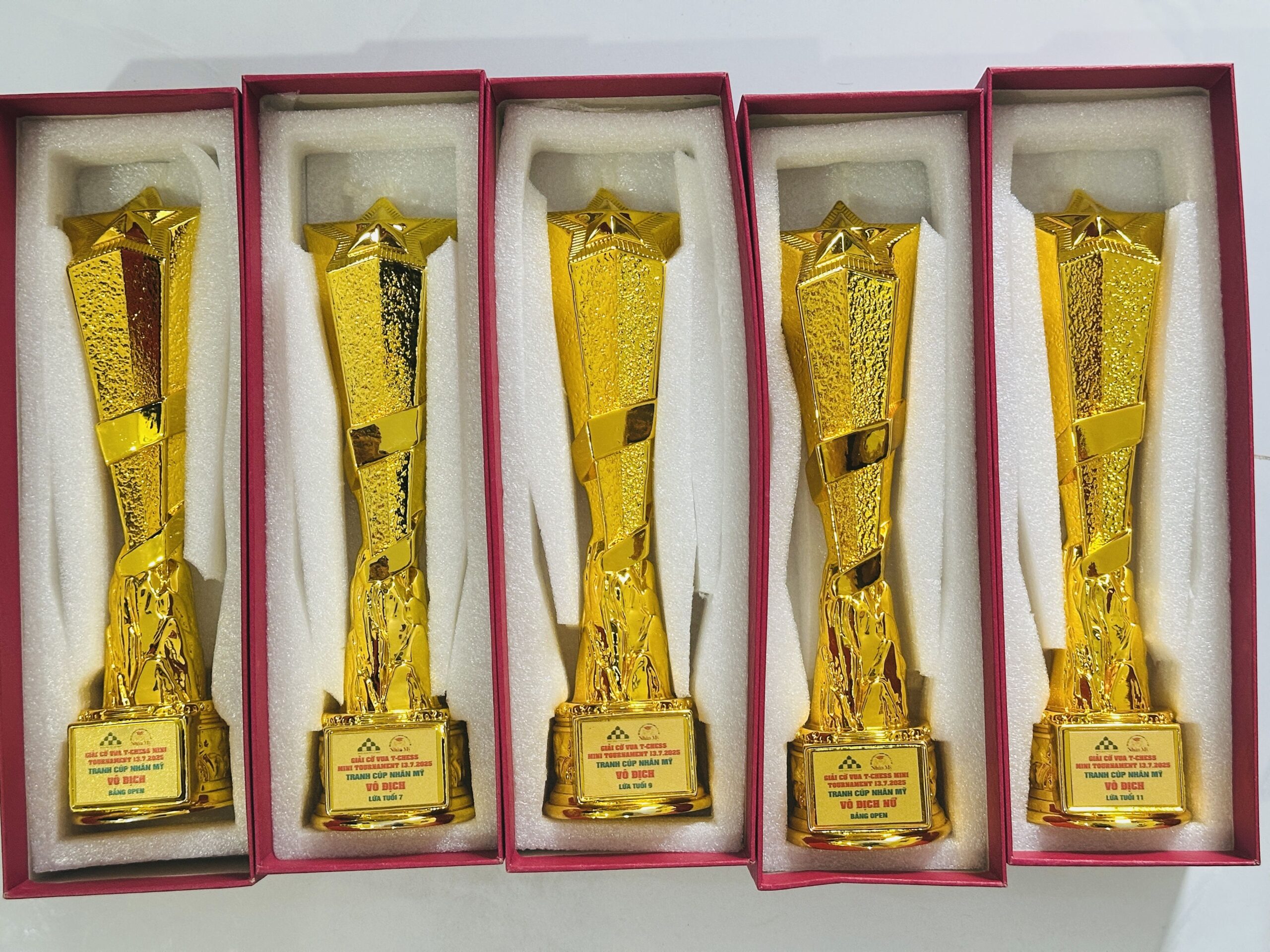 CÚP KIM LOẠI 02 4 z6871798852904 1777fef3d3397133aa26d5a11b06b314 scaled