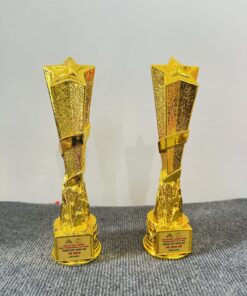 CÚP KIM LOẠI 02 6 z6871798863404 a2a75c6d2562ec80eb6933bf96be89a3