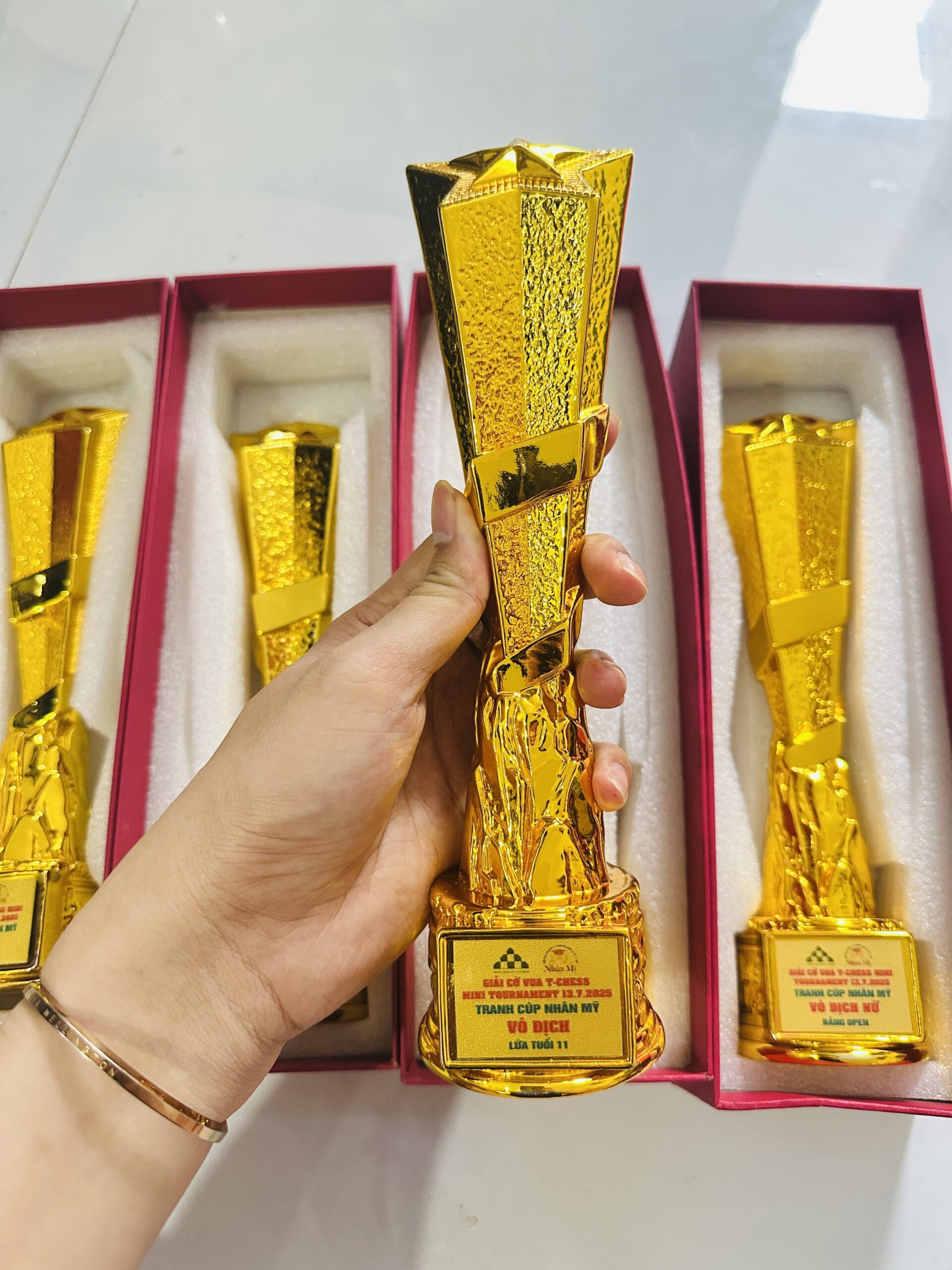 CÚP KIM LOẠI 02 1 z6871798894755 c20ed3be18d1e32db9165839fb266b36 scaled