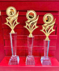 CÚP THỂ THAO 20 4 z7057182914813 cdd52c54da7ae61ccbeff0d086a6dbb8