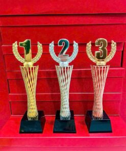 CÚP THỂ THAO 20 5 z7057183165361 66a5f1bf3e20d9b827143e3b3ba655b7