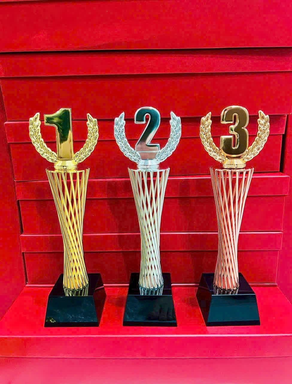 CÚP THỂ THAO 20 3 z7057183165361 66a5f1bf3e20d9b827143e3b3ba655b7