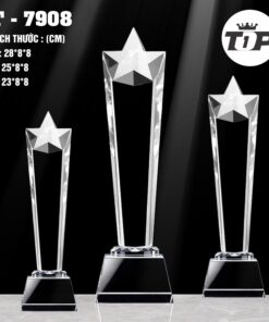 CÚP THỂ THAO 21 4 z7057183912228 185b25f6762464f9956235654679a79f