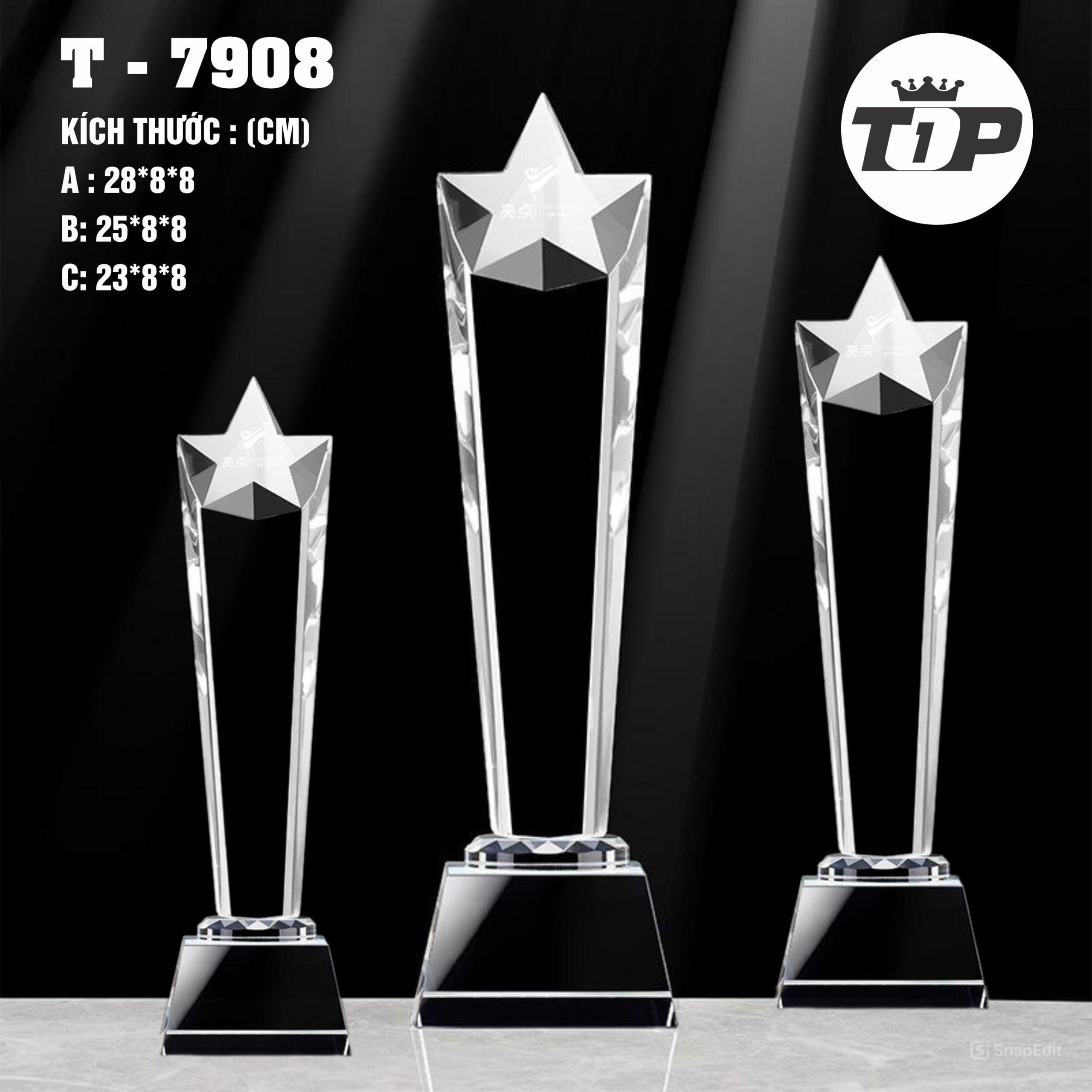 CÚP THỂ THAO 21 2 z7057183912228 185b25f6762464f9956235654679a79f scaled